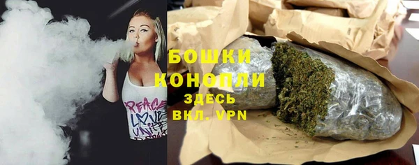 ПСИЛОЦИБИНОВЫЕ ГРИБЫ Баксан