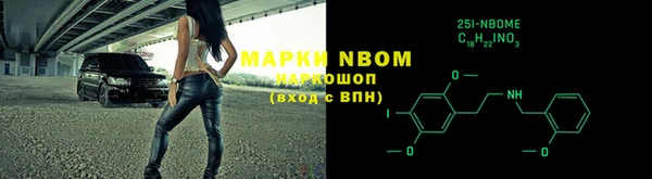 ПСИЛОЦИБИНОВЫЕ ГРИБЫ Баксан