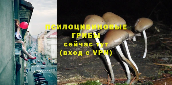 ПСИЛОЦИБИНОВЫЕ ГРИБЫ Баксан