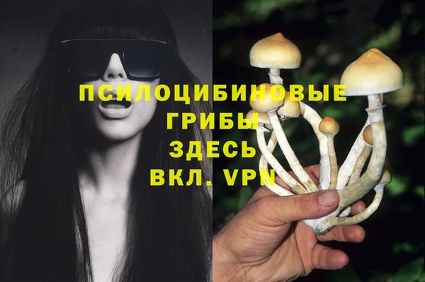 ПСИЛОЦИБИНОВЫЕ ГРИБЫ Баксан