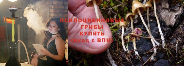 ПСИЛОЦИБИНОВЫЕ ГРИБЫ Баксан