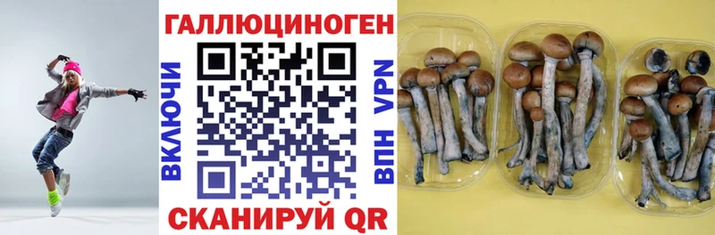 Псилоцибиновые грибы GOLDEN TEACHER  Вуктыл 